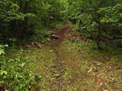 Расширенная тропа по дороге на реку Синяя