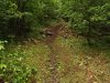 Расширенная тропа по дороге на реку Синяя