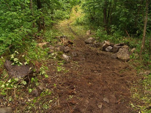 Расширенная тропа по дороге на реку Синяя