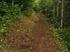 Расширенная тропа по дороге на реку Синяя