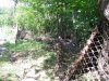 Сетка забора забилась листьями и ветками и стала барьером, за которым накапливалась вода 