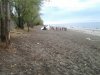 Снос незаконного забора в Имеретинской низменности