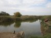 Экологическое бедствие на реках Кирпили и Гречаная 