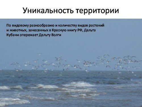 Презентация к докладу об экологическом состоянии ВБУ "Дельта Кубани"