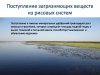 Презентация к докладу об экологическом состоянии ВБУ "Дельта Кубани"