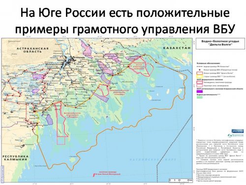 Презентация к докладу об экологическом состоянии ВБУ "Дельта Кубани"