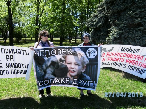 (2013-04-28)_Майкоп_Пикет против живодерского закона