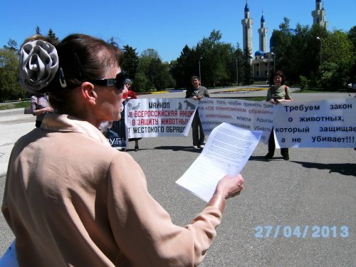 (2013-04-28)_Майкоп_Пикет против живодерского закона