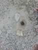 (2013.07.05) Буровые работы на стройплощадке в Геленджике