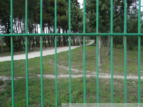 Виноградники Путина возле села Дивноморское