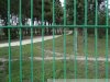 Виноградники Путина возле села Дивноморское