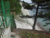 Виноградники Путина возле села Дивноморское