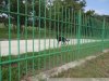 Виноградники Путина возле села Дивноморское