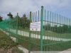Виноградники Путина возле села Дивноморское