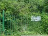 Виноградники Путина возле села Дивноморское