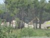 Виноградники Путина возле села Дивноморское