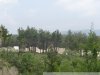 Виноградники Путина возле села Дивноморское