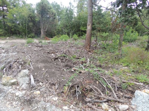 Инспекция планируемого поселка в квартале 147А Лермонтовского лесничества