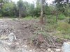 Инспекция планируемого поселка в квартале 147А Лермонтовского лесничества