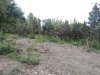 Инспекция планируемого поселка в квартале 147А Лермонтовского лесничества