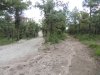 Инспекция планируемого поселка в квартале 147А Лермонтовского лесничества