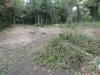 Инспекция планируемого поселка в квартале 147А Лермонтовского лесничества