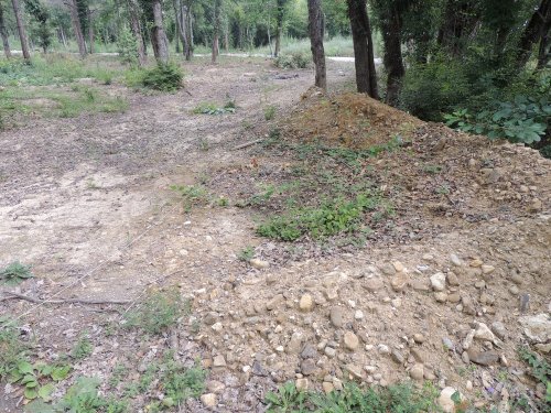 Инспекция планируемого поселка в квартале 147А Лермонтовского лесничества