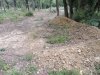 Инспекция планируемого поселка в квартале 147А Лермонтовского лесничества