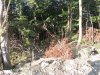 Инспекция места размещения поселка "Лермонтов Сад"