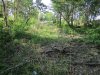 Инспекция места размещения поселка "Лермонтов Сад"