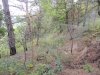 Инспекция дачи Ремезкова