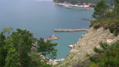 Инспекция дачи Ремезкова