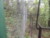 Инспекция незаконно огороженного участка в квартале 147а Лермонтовского лесничества