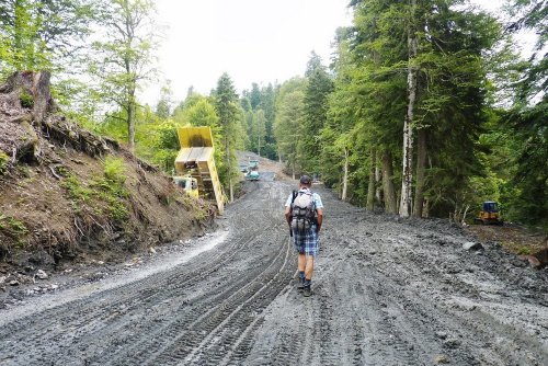 Дорога перед Пихтовой Поляно