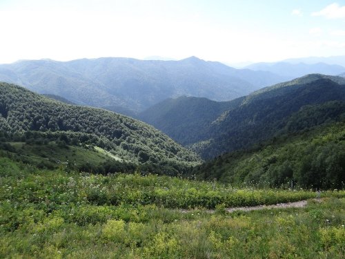 Здесь планируется построить канатную дорогу к Лунной Поляне