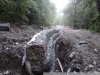 Для строительства габионов была произведена массовая вырубка леса и разрушены ландшафты
