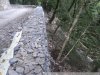 Габионы строятся по самшитовому лесу