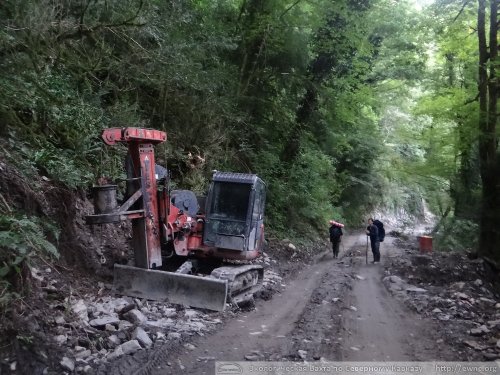 Тяжелая строительная техника в самшитовом лесу