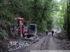 Тяжелая строительная техника в самшитовом лесу