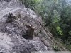 Вырубленные и засыпанные склоны вдоль дороги