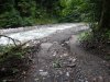 Здесь по руслу Шахе по территории заповедника перемещалась тяжелая техника
