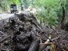 Беспредел при строительстве дороги на территории Сочинского национального парка