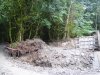 Большой участок самшитового леса был уничтожен при строительстве моста через приток Шахе на территории Сочинского нацпарка