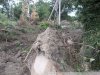 Санитарная очистка русла реки Озерейки