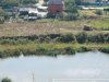 Вид сверху. Видно расстояние от озера и частных домов