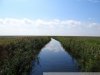 Визит представителей американских НПО в Краснодарский край
