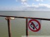 Визит представителей американских НПО в Краснодарский край