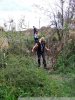 Визит представителей американских НПО в Краснодарский край
