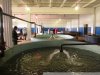 Визит представителей американских НПО в Краснодарский край