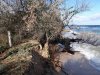 Размыв берега в ст.Голубицкой